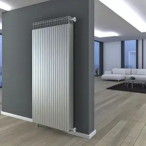Стальной панельный радиатор Buderus VK-Profil 22 300 1000