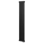 Радиатор IRSAP TESI 21800/06 cod.K1 T25 Черный – вид 1