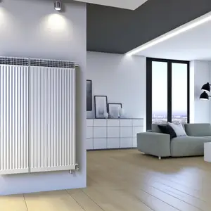 Стальной панельный радиатор Buderus VK-Profil 22 900 700 – обзор