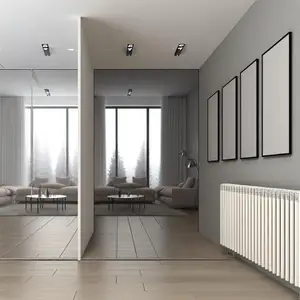 Стальной панельный радиатор Buderus VK-Profil 30 500 1200: обзор