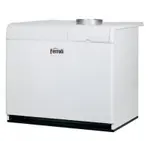 Напольный газовый котел Ferroli Pegasus F3 N221 2S – вид 1