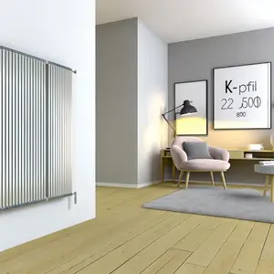 Стальной панельный радиатор Buderus K-Profil 22 500 800: обзор