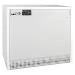 Газовый котел Protherm Гризли 65 KLO – вид 1