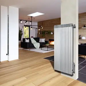 Стальной панельный радиатор Buderus Logatrend: какой выбрать?