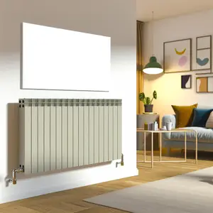 Стальной панельный радиатор Buderus VK-Profil 21: обзор