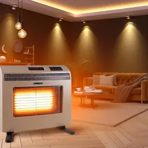 Купить конвектор Занусси: идеальное решение для обогрева