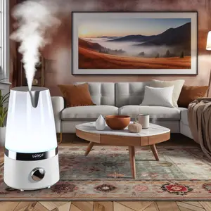 Достоинства увлажнителей воздуха Loriot