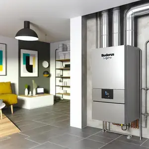 Напольный газовый котел Buderus Logano G234-50 WS: обзор