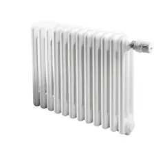 Радиатор IRSAP TESI 30365/20 CL.01 (белый) T25