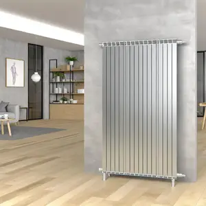 Стальной панельный радиатор Buderus VK-Profil 10 - обзор