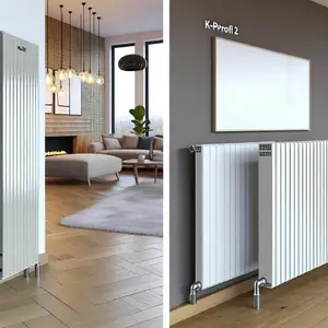 Стальной панельный радиатор Buderus K-Profil 22 900 1600: обзор